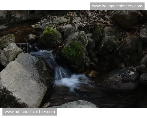 清泉石上流，意蕴无穷时——“清水”与“大家”的对话